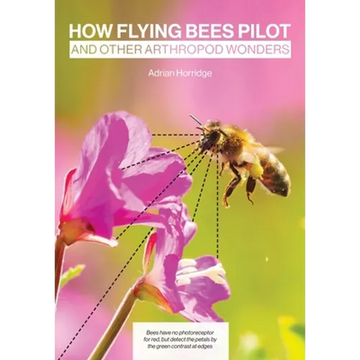 How Flying Bees Pilot, and other arthropod wonders - Paperback