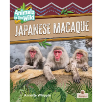Japanese Macaque - Hardcover