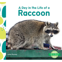 Day in the Life of a Raccoon - Library Binding