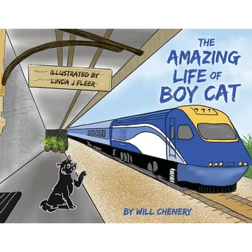 The Amazing Life of Boy Cat - Paperback