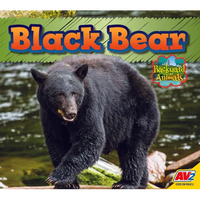 Black Bear - Library Binding