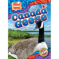 Canada Geese - Library Binding