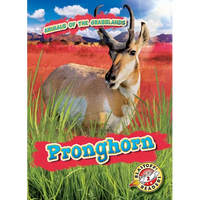 Pronghorn - Library Binding