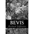 Bevis