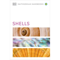 Shells - Paperback
