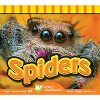 Spiders - Library Binding