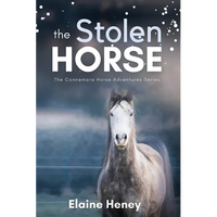 The Stolen Horse - Book 4 in the Connemara Horse Adventure Series for Kids The Perfect Gift for Children age 8-12 - Paperback