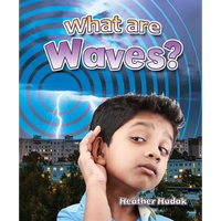 What Are Waves? - Paperback