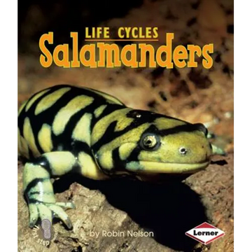 Salamanders - Paperback