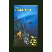 Reef Set - Boxed Set