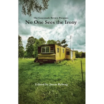No One Sees the Irony - Paperback