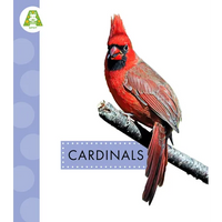 Cardinals - Paperback