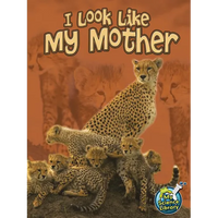 I Look Like My Mother - Paperback