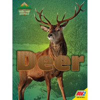 Deer - Library Binding