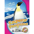 Emperor Penguins