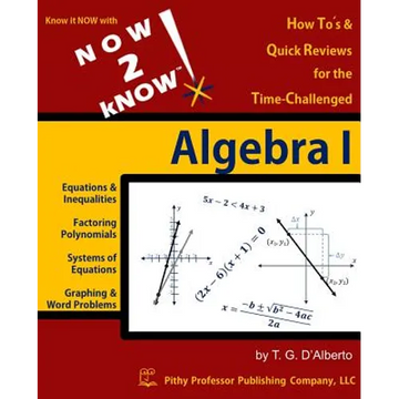 NOW 2 kNOW Algebra 1 - Paperback