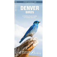 Denver Birds, 2nd Ed: A Folding Pocket Guide to Familiar Species