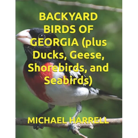 BACKYARD BIRDS OF GEORGIA (plus Ducks, Geese, Shorebirds, and Seabirds) - Paperback