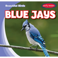 Blue Jays - Library Binding