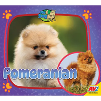 Pomeranian - Library Binding
