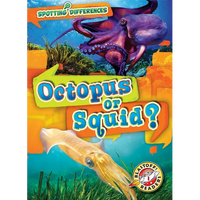 Octopus or Squid? - Paperback