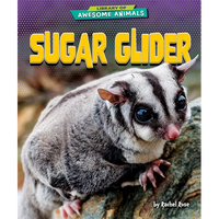 Sugar Glider - Paperback