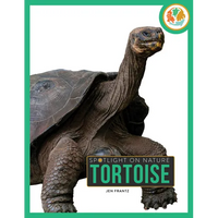 Tortoise - Paperback