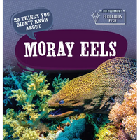 20 Things You Didn't Know about Moray Eels - Library Binding
