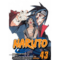 Naruto, Vol. 43: The Man with the Truth - Paperback