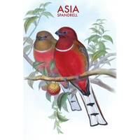 Asia - Paperback