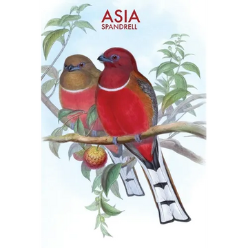 Asia - Paperback