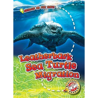 Leatherback Sea Turtle Migration - Library Binding