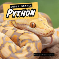 Python - Library Binding