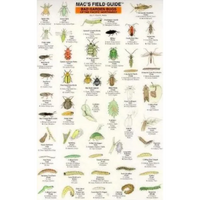 Mac's Field Guides: Northwest Garden Bugs - Paperback