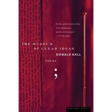 The Museum of Clear Ideas - Paperback