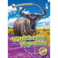 Wildebeest Migration - Library Binding