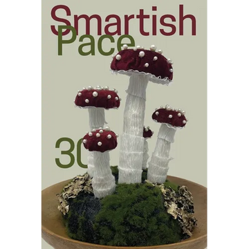 Smartish Pace: Issue 30 - Paperback