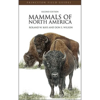 Mammals of North America - Paperback