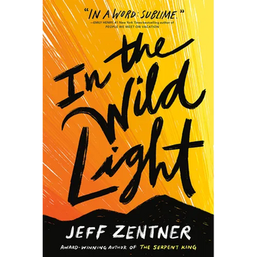 In the Wild Light - Paperback
