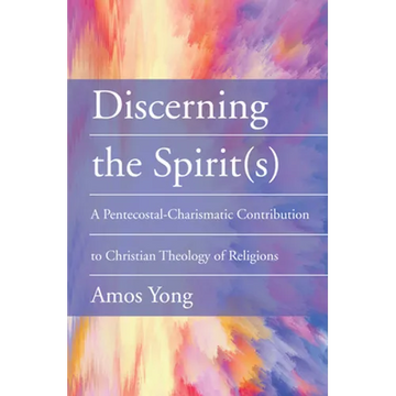 Discerning the Spirit(s) - Paperback