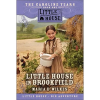 Little House in Brookfield - Paperback