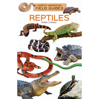 Reptiles - Library Binding