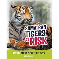 Sumatran Tigers at Risk: Saving These Fierce Big Cats - Paperback