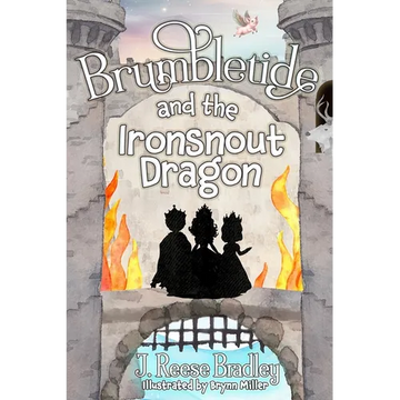 Brumbletide and the Ironsnout Dragon - Paperback