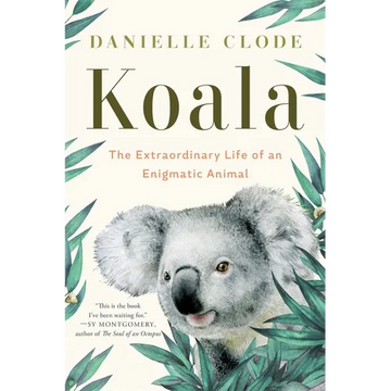 Koala: The Extraordinary Life of an Enigmatic Animal - Paperback