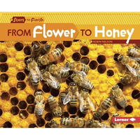 From Flower to Honey - Paperback