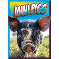 Mini Pigs