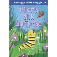 Pilar's Silk Surprise - Paperback