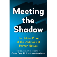 Meeting the Shadow: The Hidden Power of the Dark Side of Human Nature - Paperback