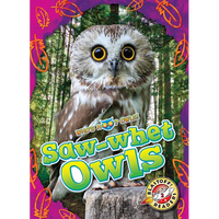 Saw-Whet Owls - Library Binding